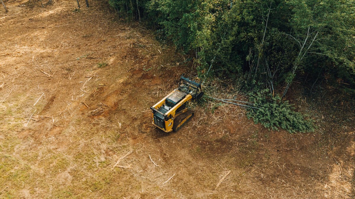 Freshly mulched slope after forestry mulching